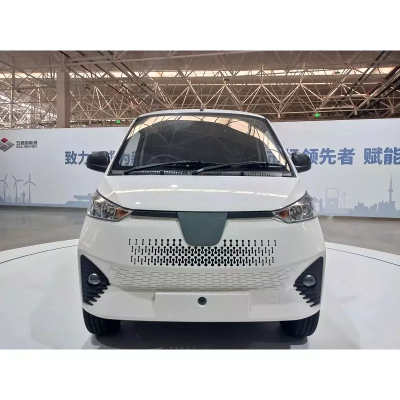 Unsa ang usa ka Electric Mini Van?