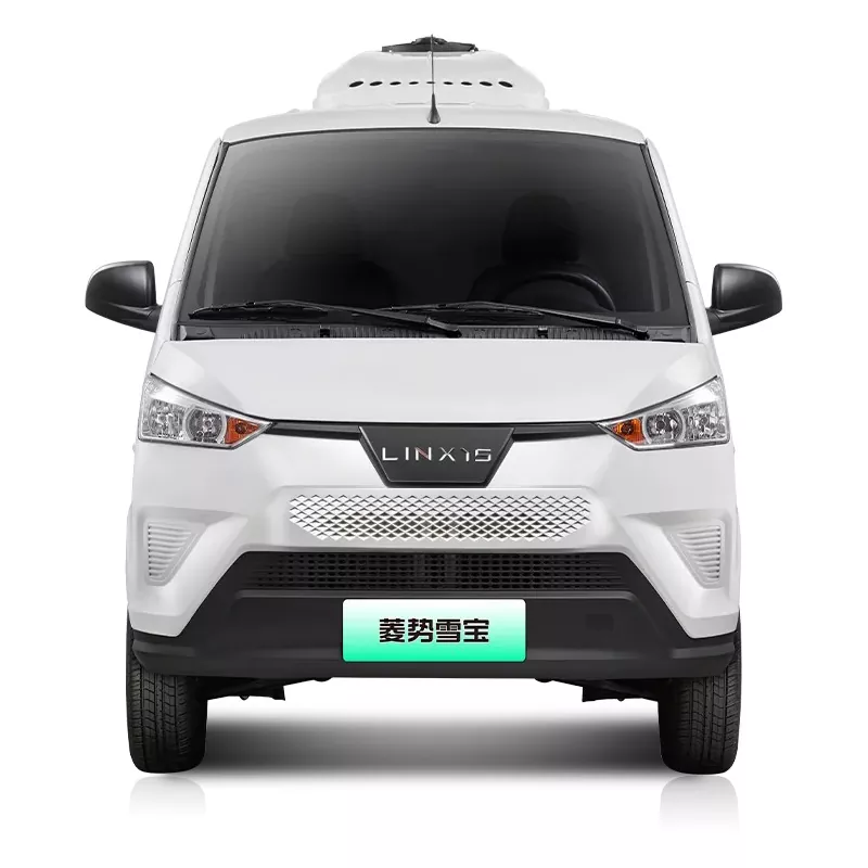 Electric Rofrigerated Van