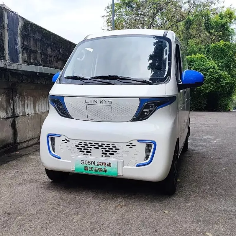 Mini EV Van