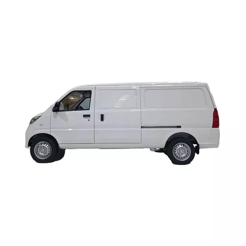 Electric mini van